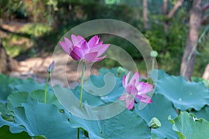 Ã¨ÂÂ·Ã¨Å Â±